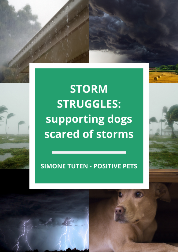 how to make dogs not scared of storms